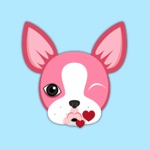 Valentines Day Boston Terrier