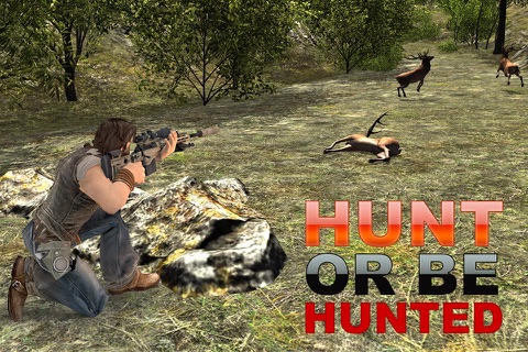 Wild Hunter 3D – Real Animal Predator Hunting Game screenshot 3