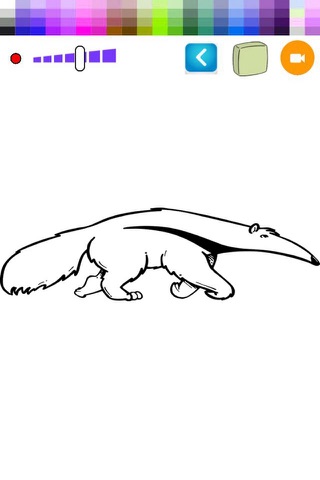 Color Book Anteater For Toddle screenshot 2