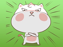 HALF THE PRICE for a LIMITED TIME