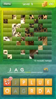 what's the pic? - hidden object puzzle pictures iphone screenshot 2