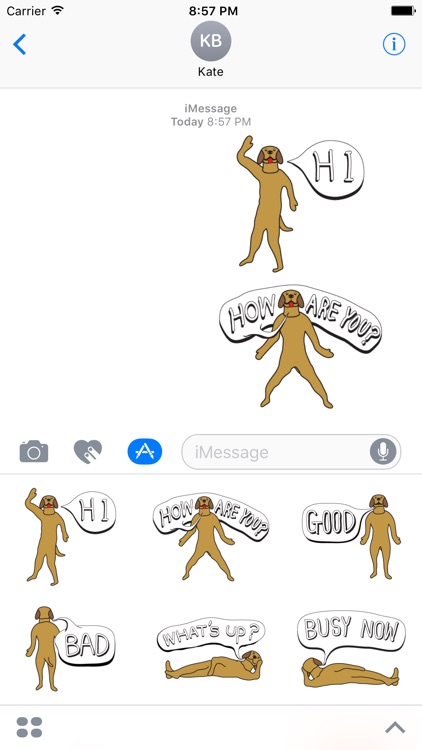 Golden Retriever Stickers for iMessage  Daily Use