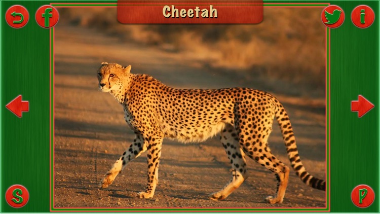 Animal Sounds Pro For Kids and Toddlers Education