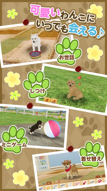 てのひらワンコ 【スマホでわんこ育成】