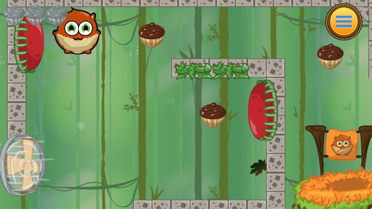 Squirrel Game - Acorn Maze