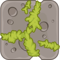 Activities of Cave Tour