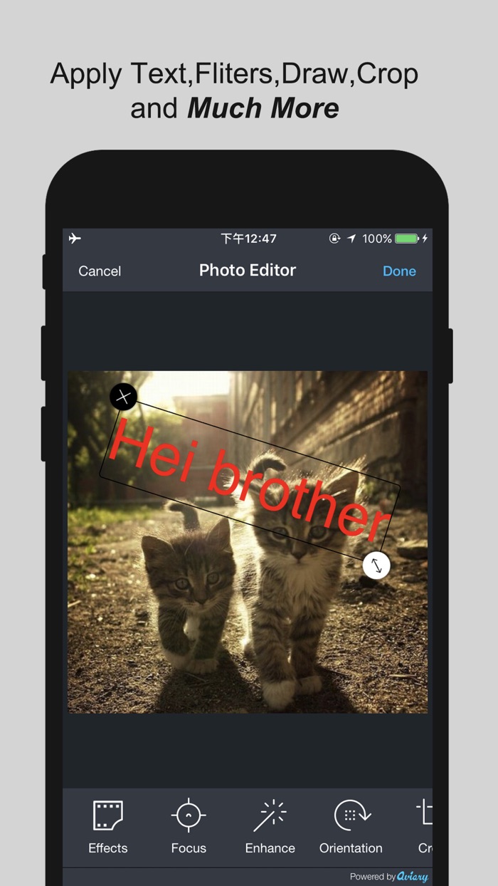 Sneakaboo Photos  Videos Editor