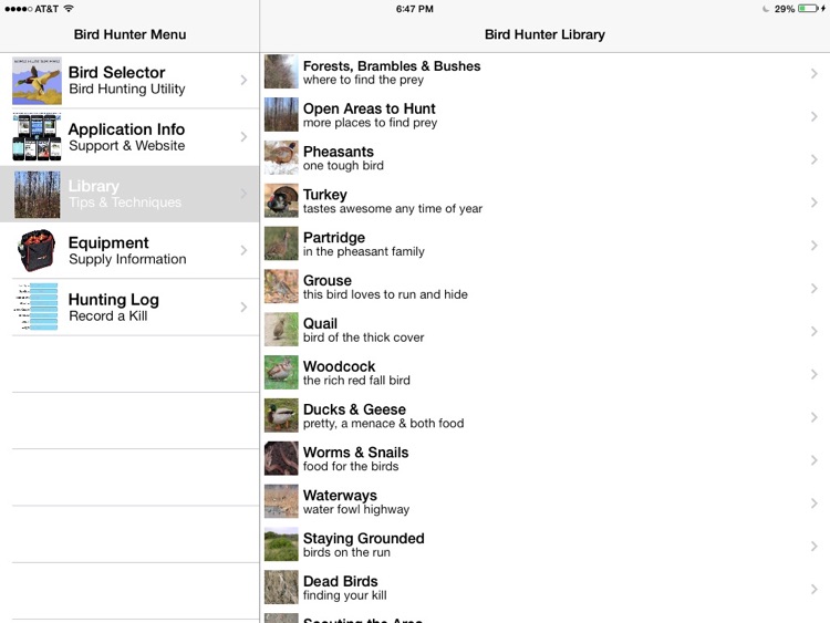 Bird Hunter Pro