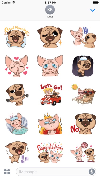 Lily Pug and Loki Sphynx. Stickers by Design73