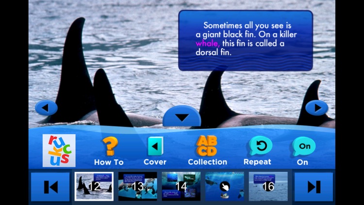 SeaWorld: The Story of Shamu