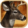 African White Tail Shoot Deer Hunt Challenge