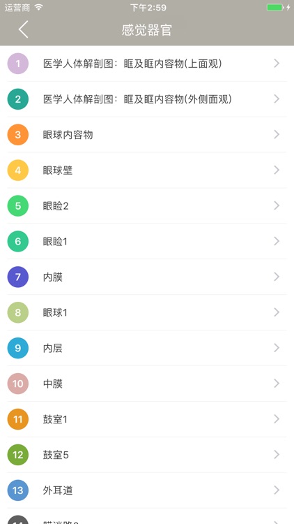 人体解剖图 - 全彩医学专业解剖图谱