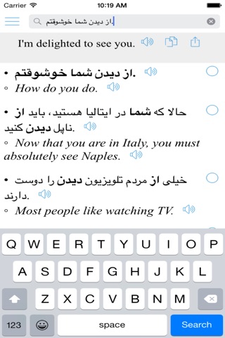 Persian Translator Offline screenshot 4
