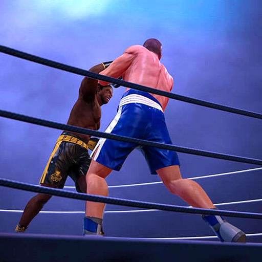 boxing knockout punches