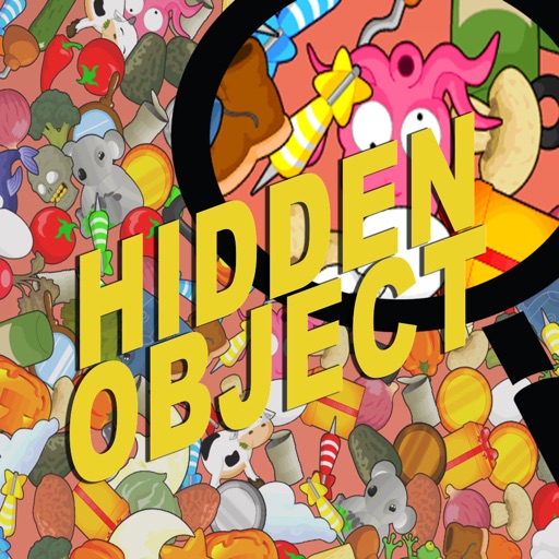 Hidden Object - Can You Find it? icon