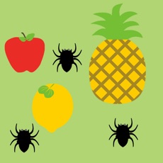 Activities of Spider vs Fruit