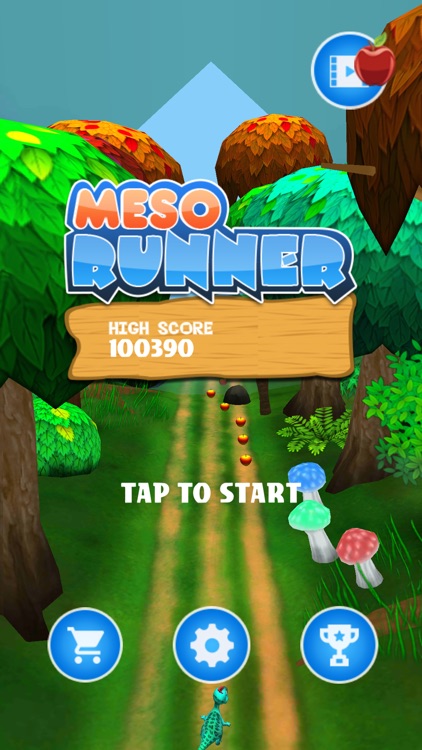 Meso Runner