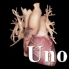 Cardiological Uno
