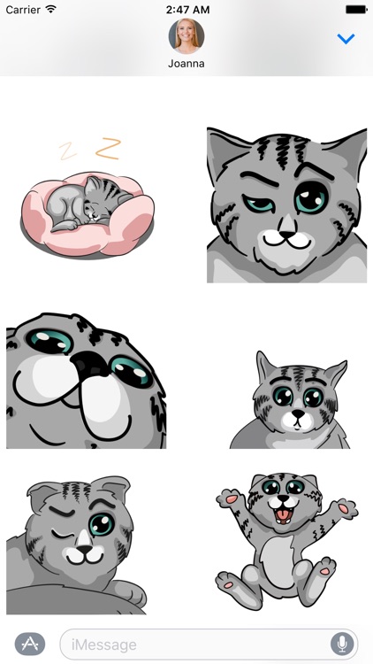 Ken the Kitteh - Animated Stickers screenshot-4