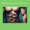 Muscle and fitness training system abs