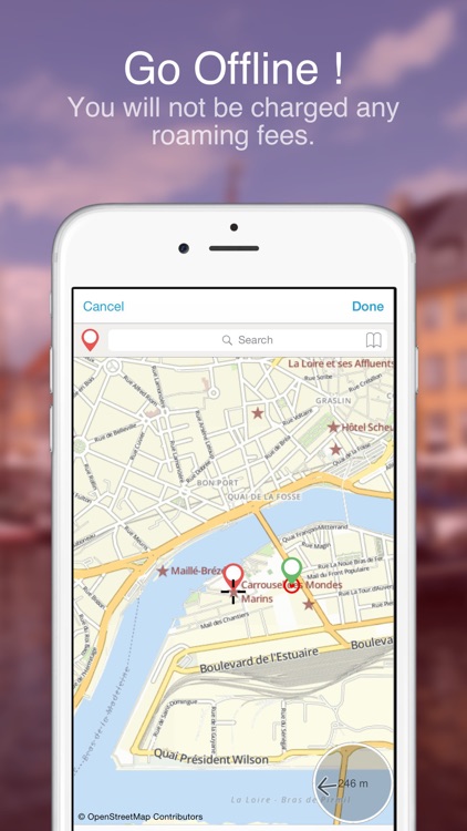 Nantes on Foot: Offline Map screenshot-3
