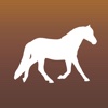 Horse Explorer - Free Equestrian Guide