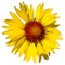 High Country Apps is proud to team up with the Yellowstone Park Foundation (www
