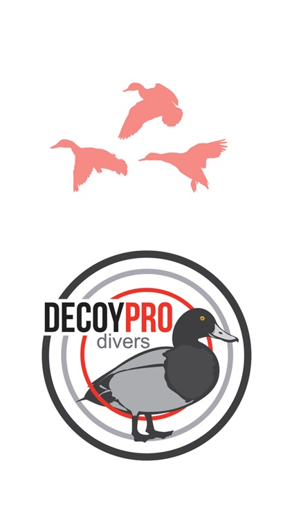 Diver Duck Hunting Decoy Spreads - DecoyPro