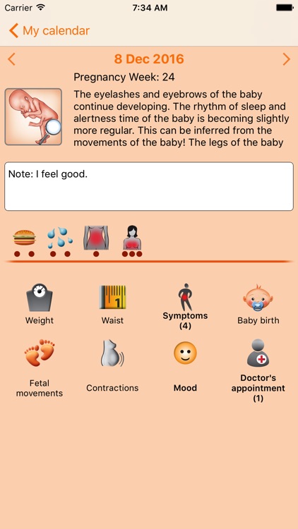 WomanLog Pregnancy Pro