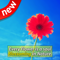 App Icon for Amazing Flower Wallpapers HD App in Pakistan IOS App Store