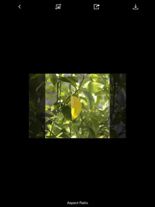 Captura 4 BlitzWolf Shutter iphone