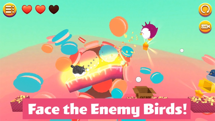 Kitty in the Box 2 - A box diving adventure! screenshot-3