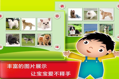 浣熊博士认知课堂 - 认识世界名猫和名犬的中文简体版APP screenshot 2