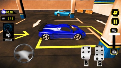 MULTI-STOREY CAR PARKING DRIVER SIMULATOR 1.0 IOS