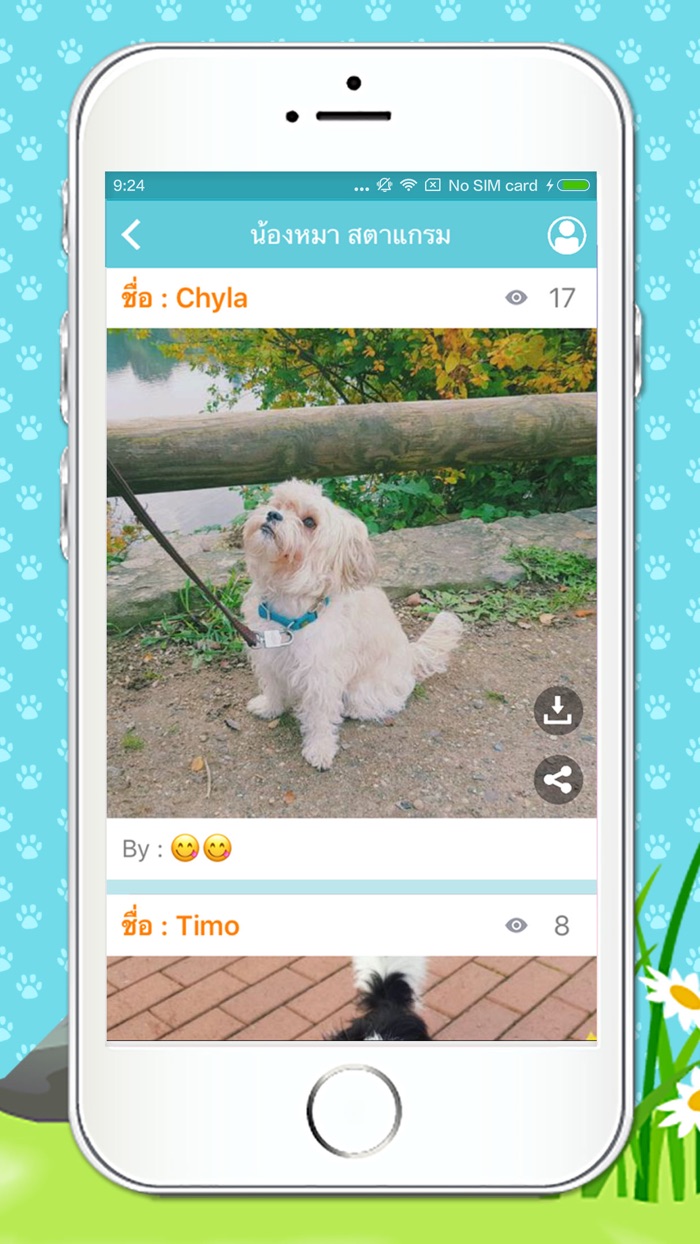 เรื่องหมา...หมา