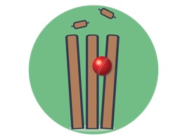 Fan of cricket