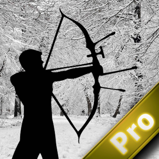 Arc Warrior In Arctic PRO iOS App