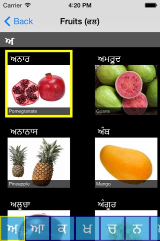 Learn Punjabi - Hashia Labs screenshot 4