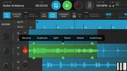 Looperverse – Multitrack Loop Recorder Screenshot 5