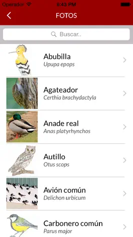 Game screenshot Aves Del Retiro apk