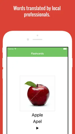 Game screenshot Indonesian Flashcards with Pictures Lite mod apk