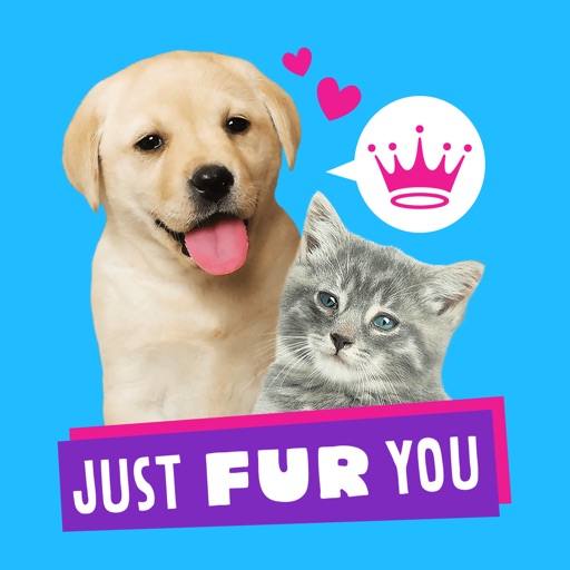 Just Fur You - Animated Hallmark Stickers Icon