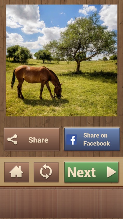 Horse Jigsaw Puzzles - Brain Training Games screenshot-4