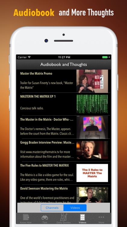 Quick Wisdom from Master the Matrix-Key Insights