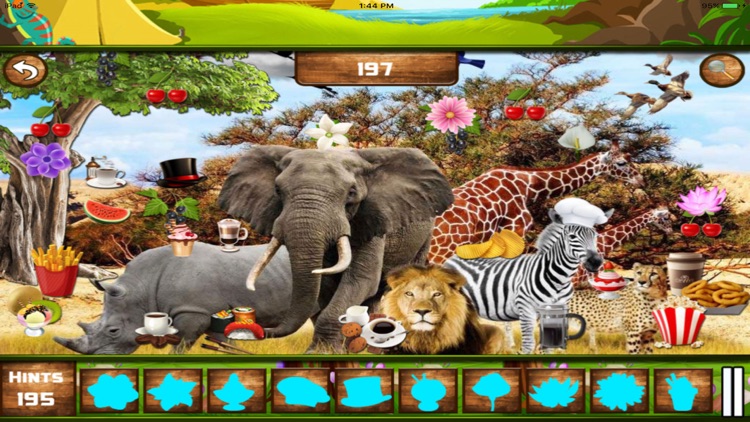 Animal Safari Hidden Object Games