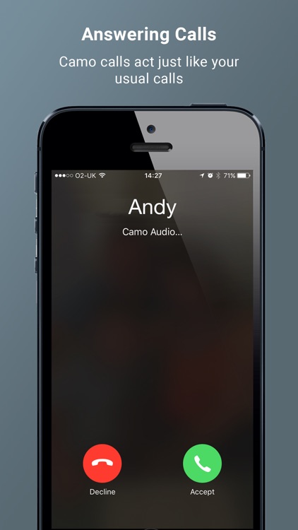 Camo screenshot-3