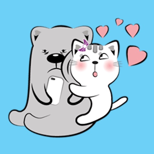 Cat and Bear Lovely