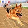 Dog Stunt Jump Training Simulator 3D