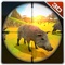 Enjoy sharp shooting in this hunting expedition & be perfect boar hunter