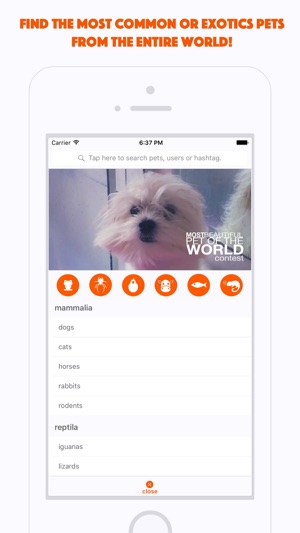 Petgroom.me(圖3)-速報App